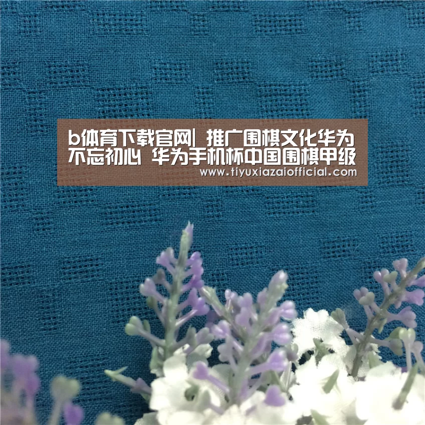 b体育下载官网|
推广围棋文化华为不忘初心 华为手机杯中国围棋甲级联赛圆满闭幕(图1) b体育下载