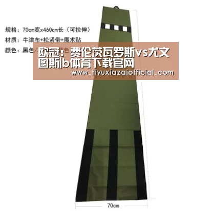欧冠:费伦茨瓦罗斯vs尤文图斯|b体育下载官网(图1) b体育下载官网