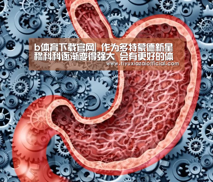 b体育下载